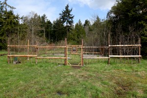 Vegetable Garden 